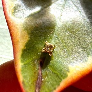 BLVA Rose cut diamond and gold push piercing